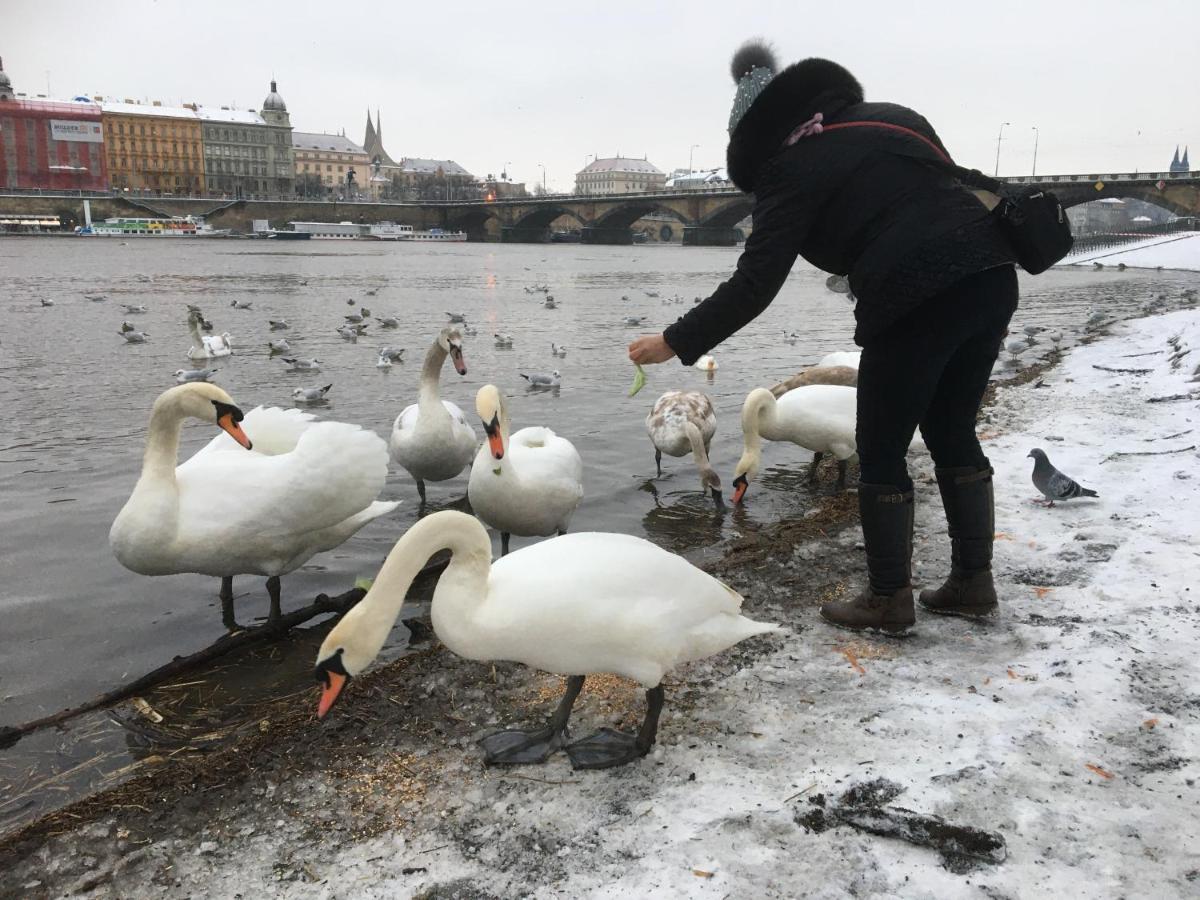 Appartement Vltava *